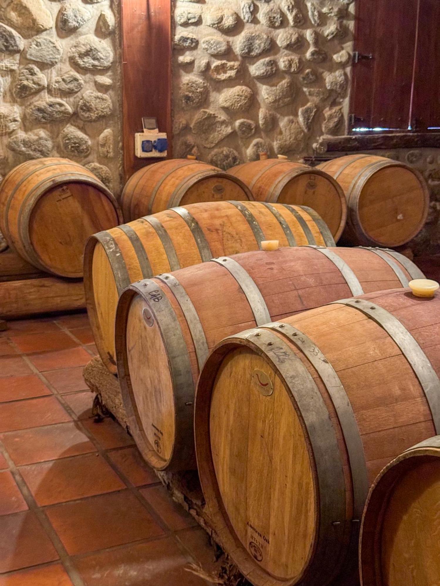 La Casa De La Bodega - Wine Boutique Hotel Кафаяте Екстер'єр фото