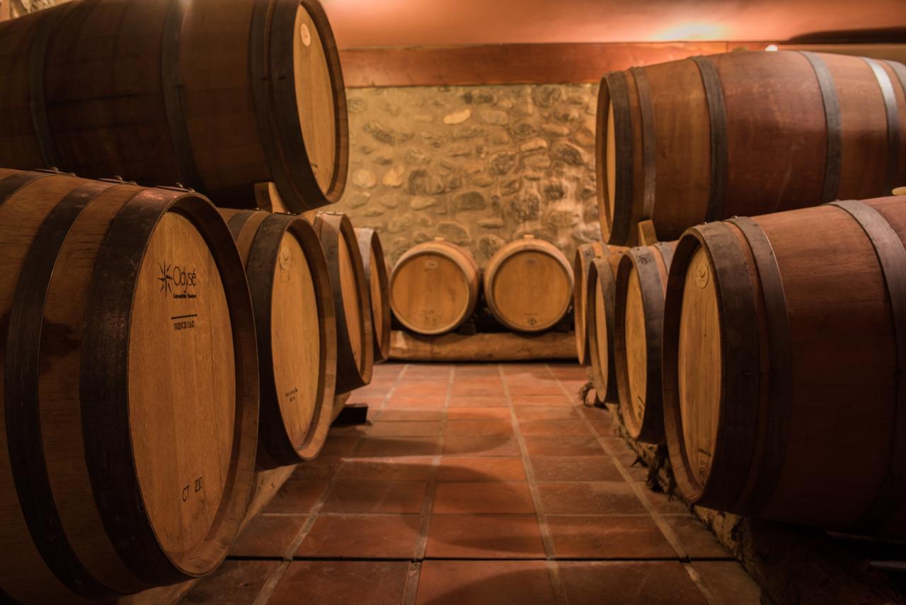 La Casa De La Bodega - Wine Boutique Hotel Кафаяте Екстер'єр фото
