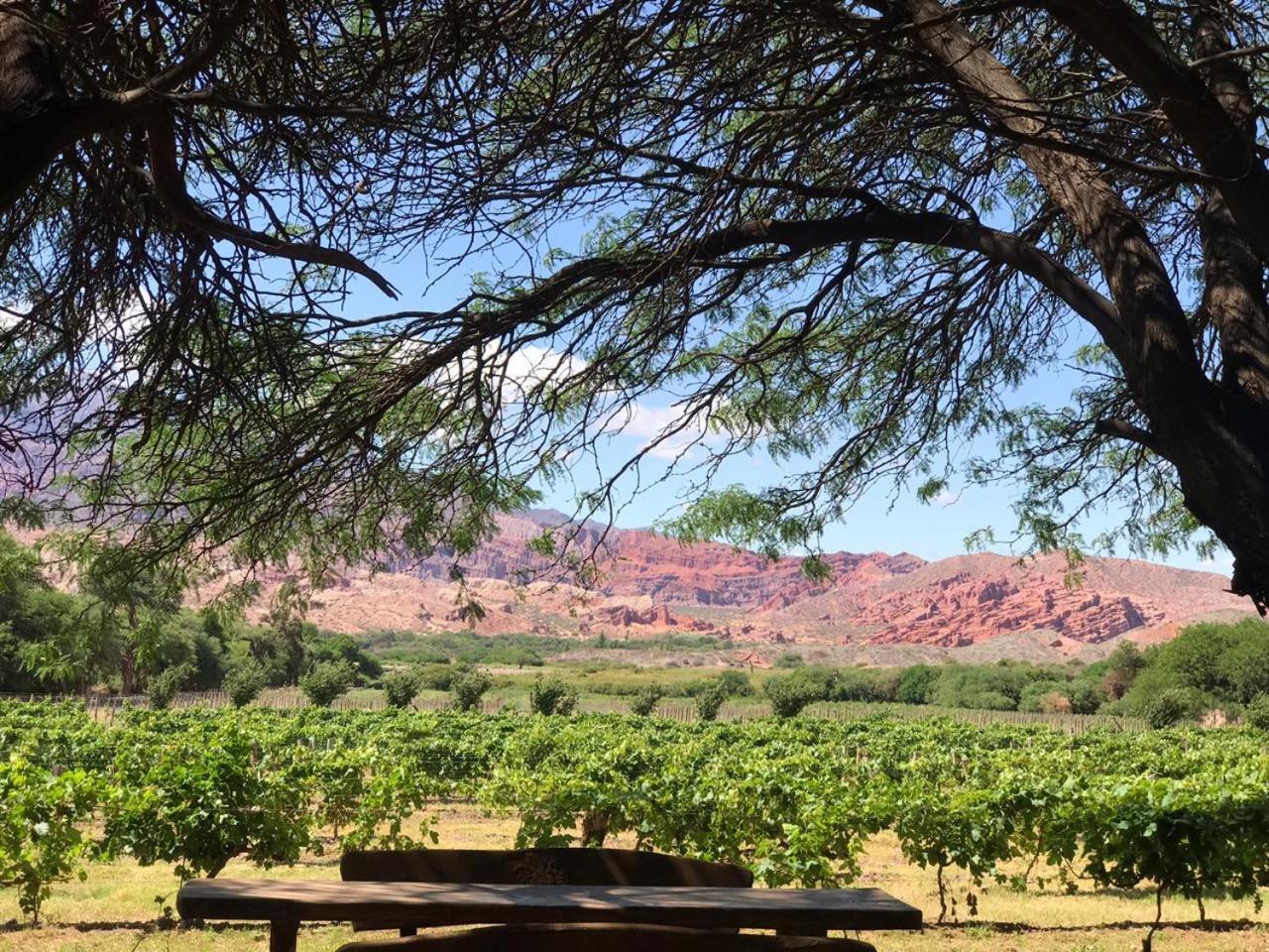 La Casa De La Bodega - Wine Boutique Hotel Кафаяте Екстер'єр фото